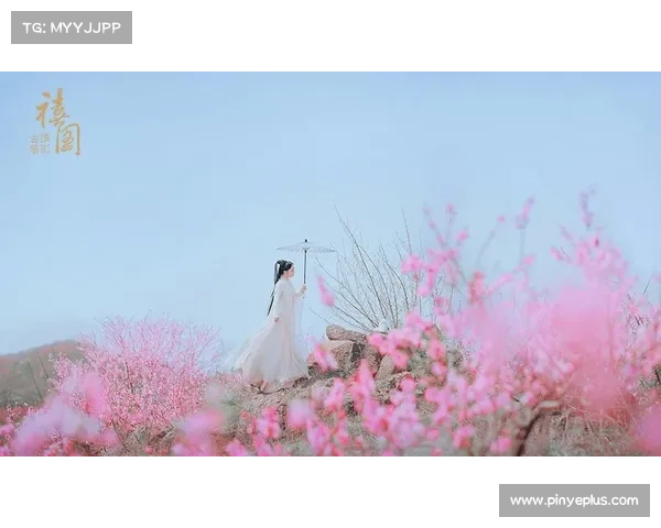 桃花之岛,御剑江湖行 桃花之岛,御剑江湖行